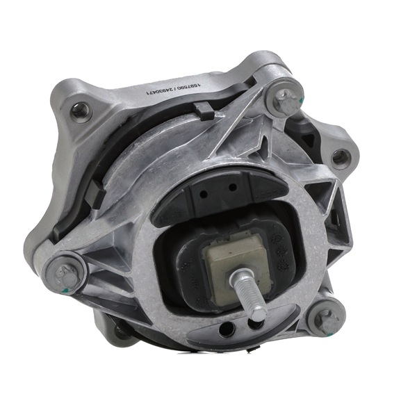 RIDEX 247E1485 Paigutus, Mootor