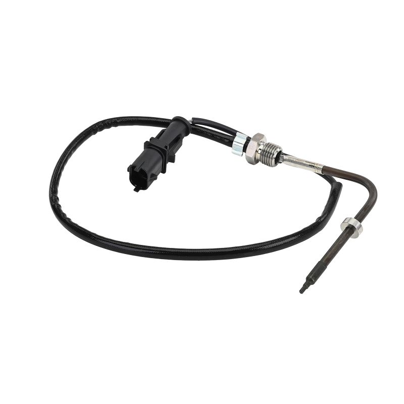 DELPHI TS30423-12B1: EGT-sensor Iveco Daily 2006