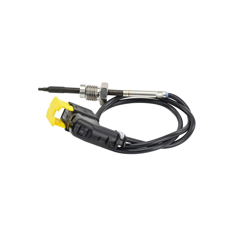 TS30438-12B1 Abgastemperatursensor DELPHI 2009462 DAF