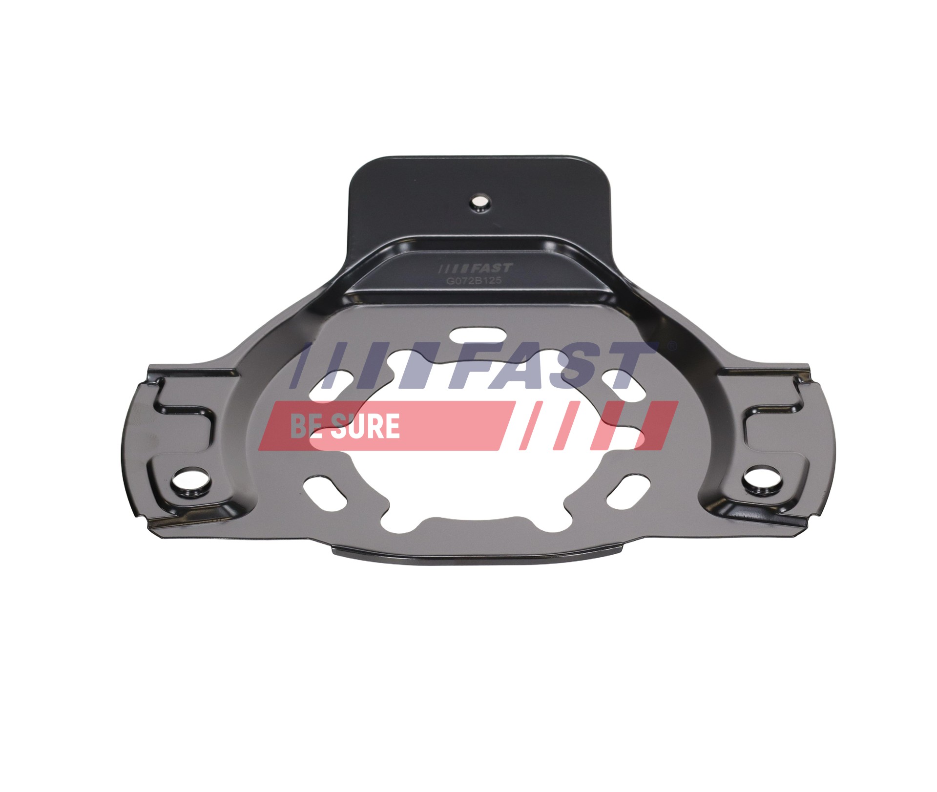 Dubļu sargs, Bremžu disks FT02888 FAST 90538678 VAUXHALL