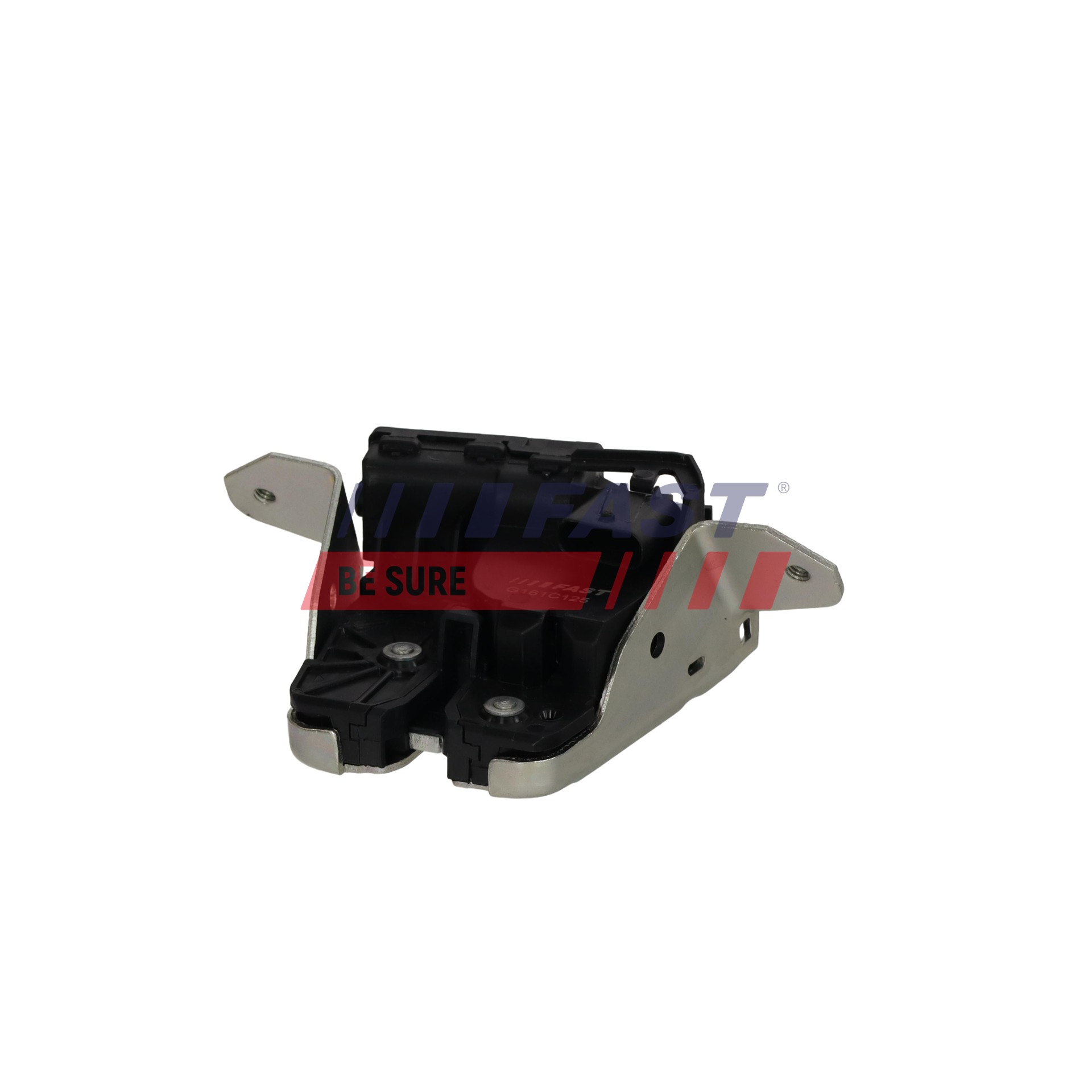 FAST FT03825 Tailgate Lock-image-25476679