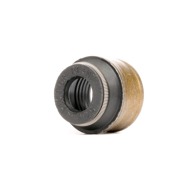 P76662-00 Gufero ventilu Volkswagen CADDY GLASER