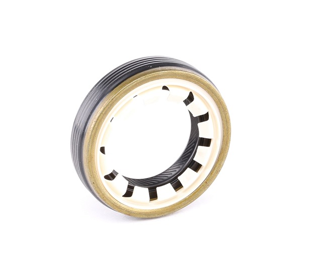 SASIC 1213263 Bague d'étanchéité, différentiel