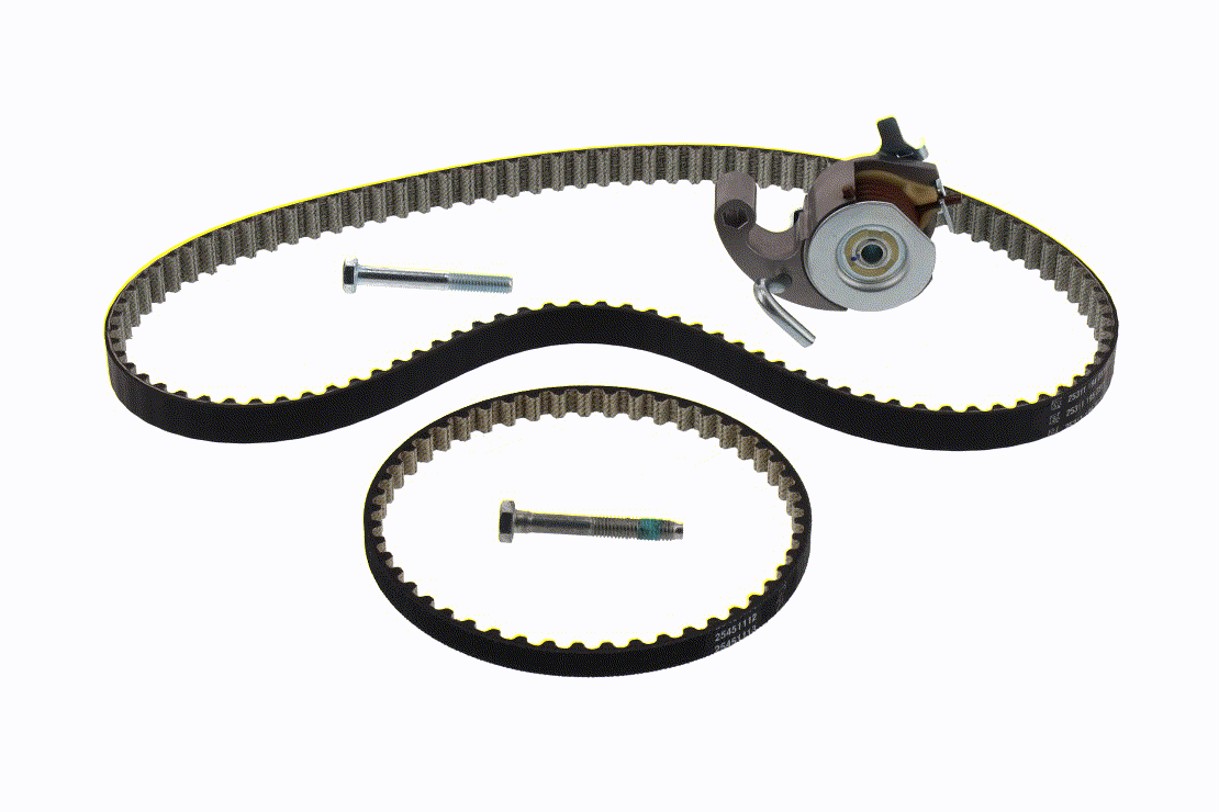 Courroie de distribution V25-3236 VAICO 2213376 FORD USA