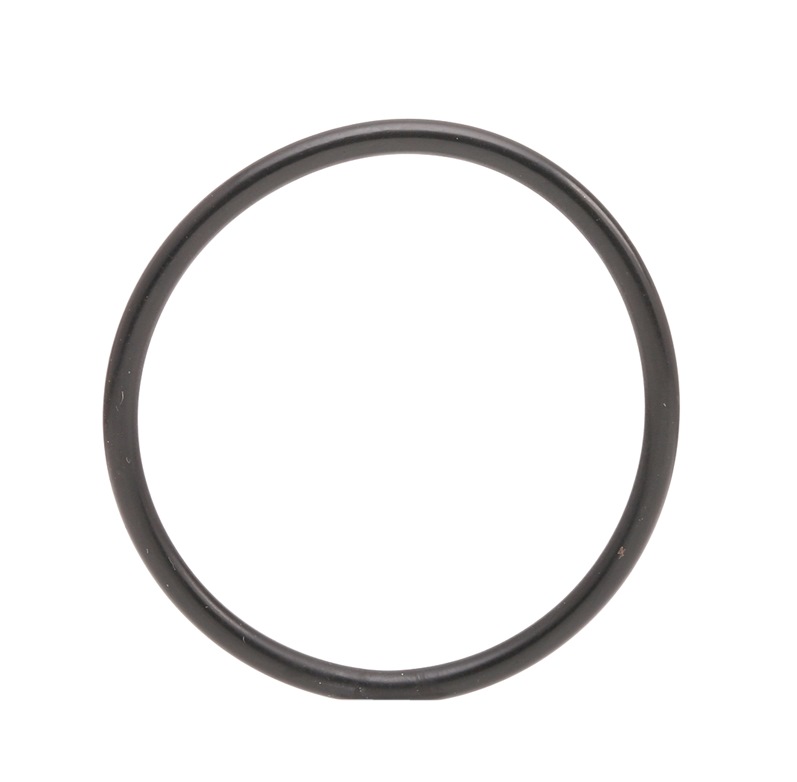 TOPRAN 100 842 Gaskets-image-2722686