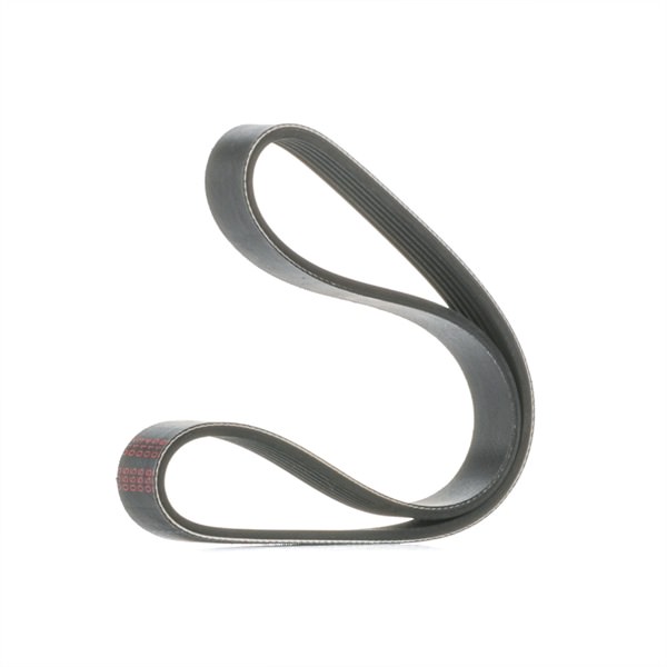 MAPCO 260736 Correa trapecial poli V