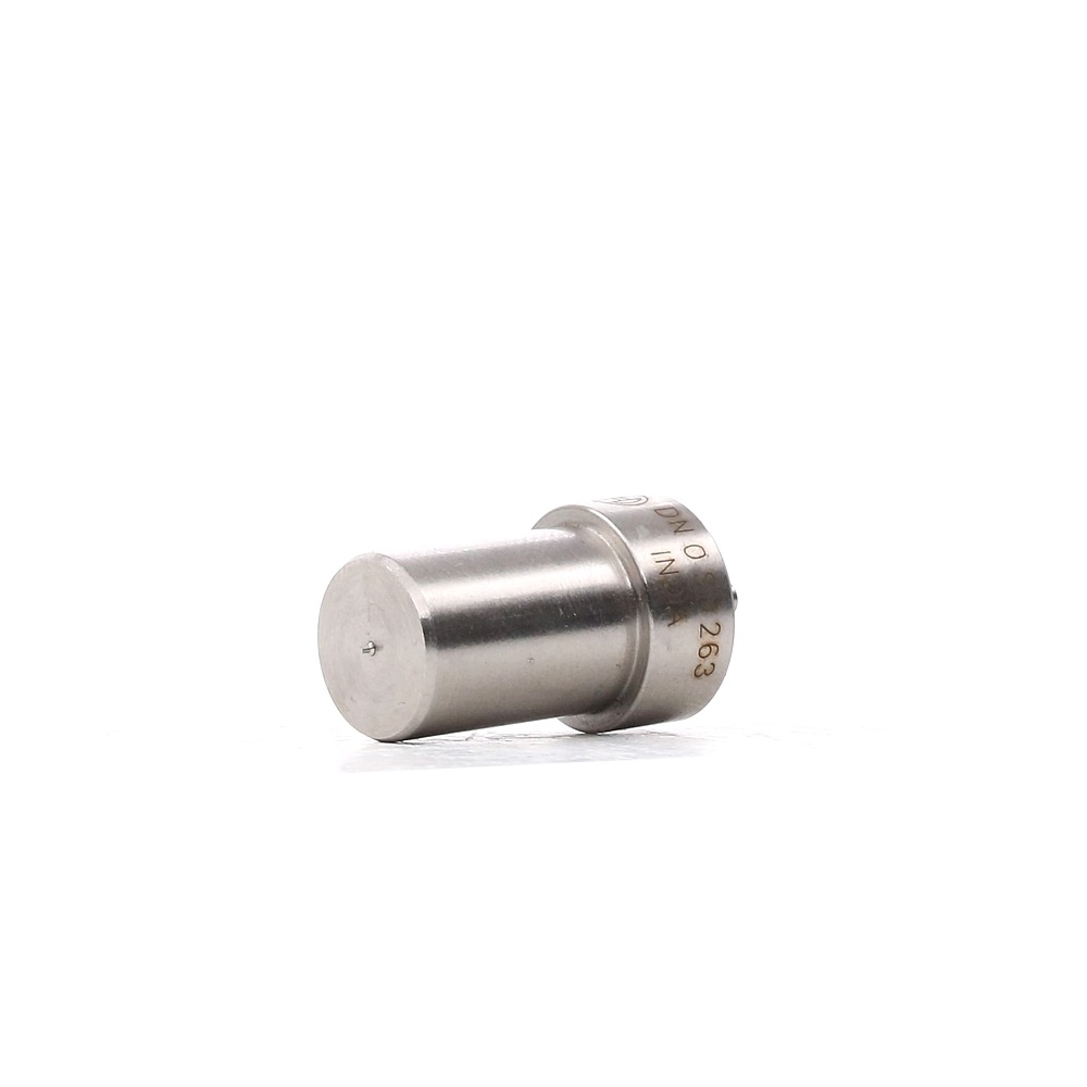 BOSCH 0 434 250 125 Nozzle Body-image-688893