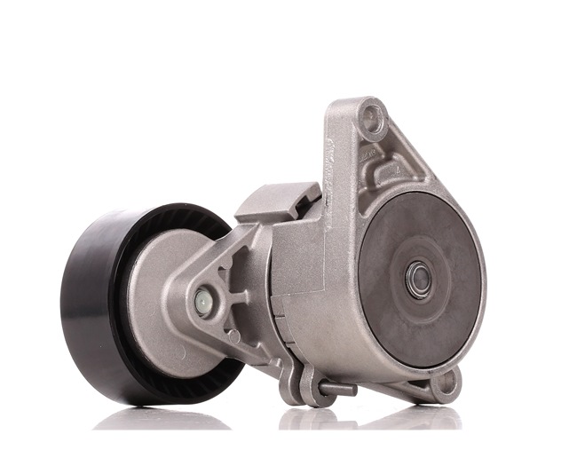 Feszítőkar, hosszbordás szíj 10781 FEBI BILSTEIN 1128 1 433 571 Volkswagen
