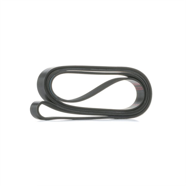 MAPCO 262310 Correia trapezoidal estriada