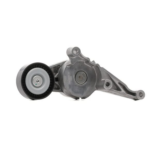 SNR GA357.23 Poulie, tendeur de courroie d'accessoire Seat Altea XL 1.9 TDI 90 CV Diesel prix