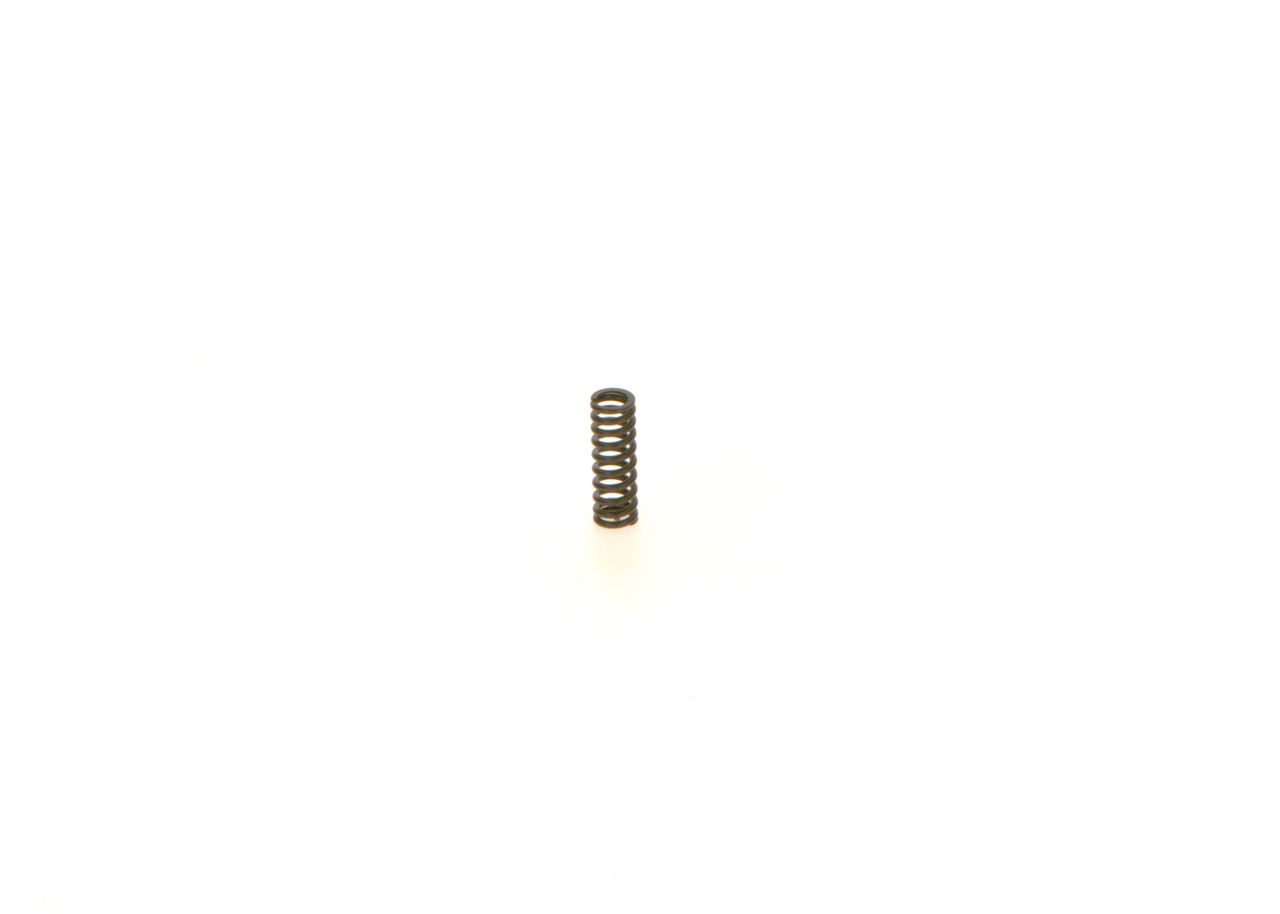 BOSCH 1 414 613 022 Mola