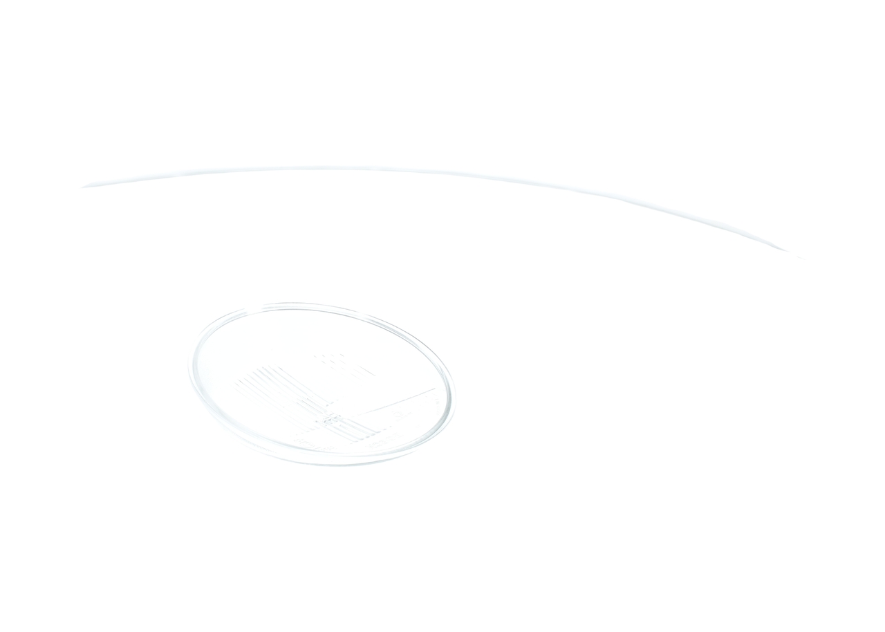 BOSCH 1 305 614 006 Diffusing Lens