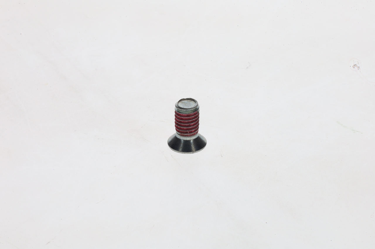 BOSCH 1 423 429 008 Schroef