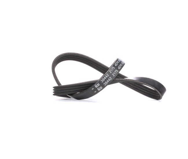 Correia trapezoidal estriada 38442 FEBI BILSTEIN 64557793608 TOYOTA