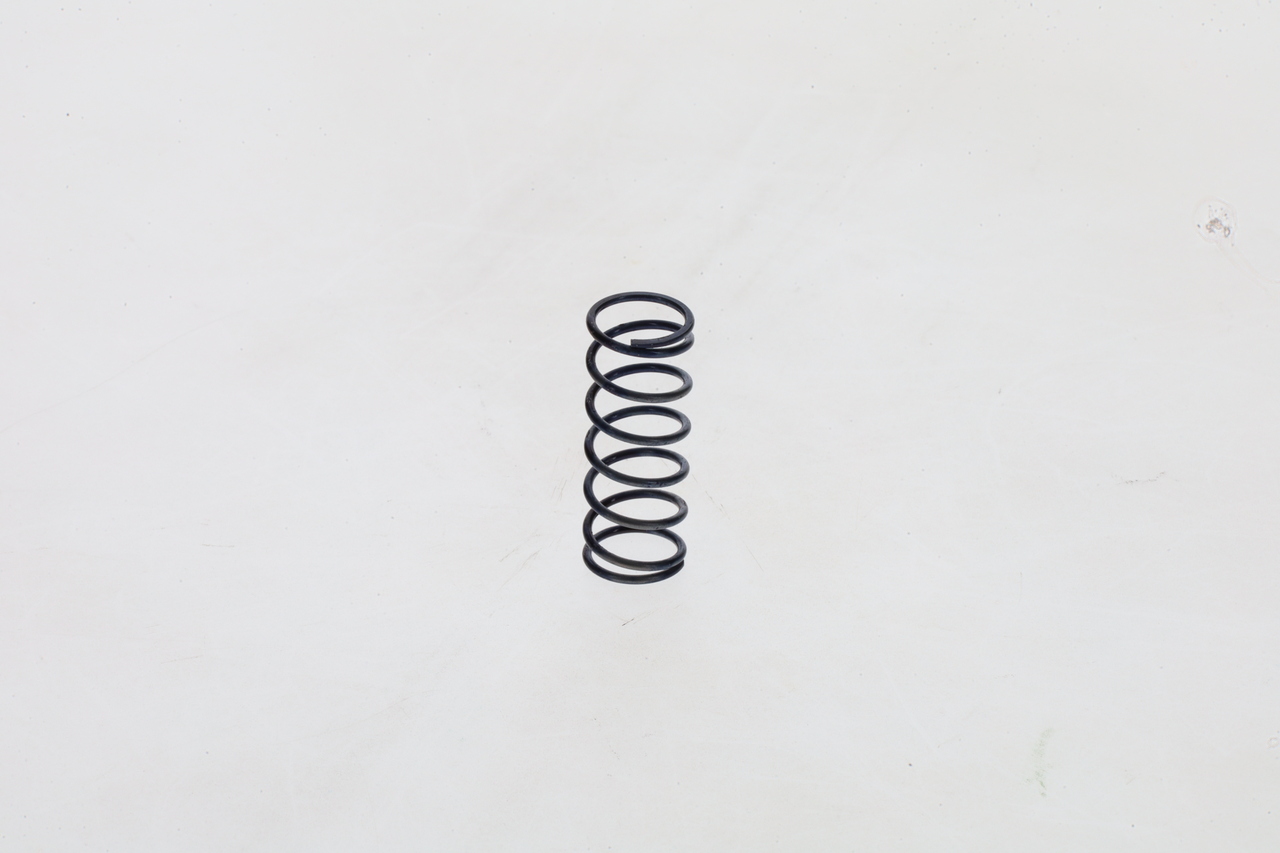 BOSCH 1 464 616 325 Mola