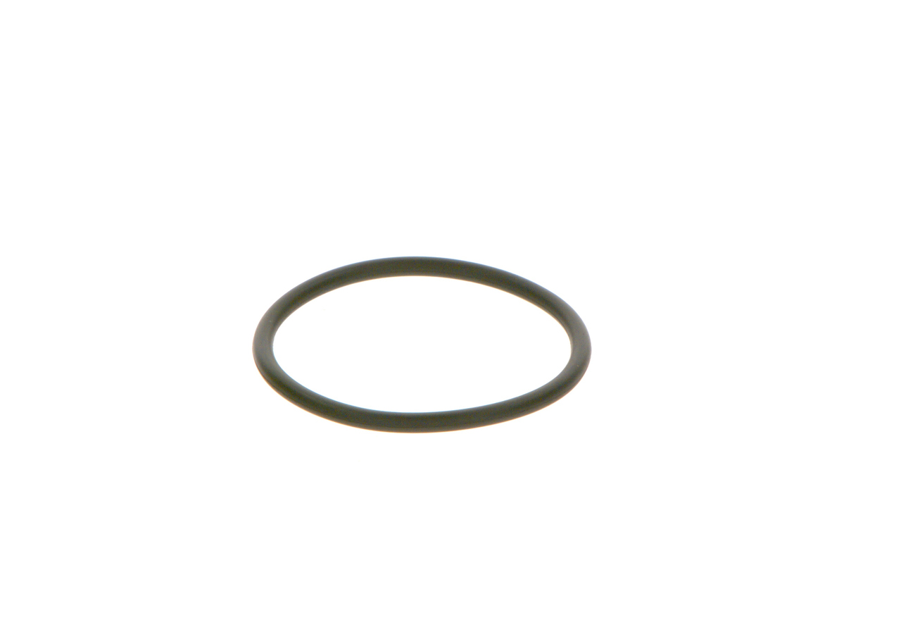 BOSCH F 00R 0P0 166 Rubber Ring-image-7167190