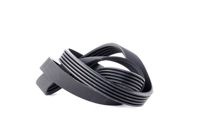 DAYCO 5PK1150 genuine MG Alternator belt price