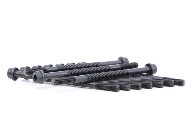 REINZ 14-32079-01 FIAT Cylinder head bolt kit replacement cost
