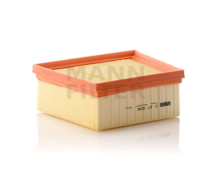 MANN-FILTER C 17 006 Air filter
