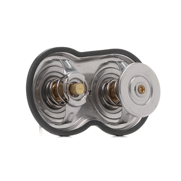 DT Spare Parts 1.11194 Thermostat d'eau