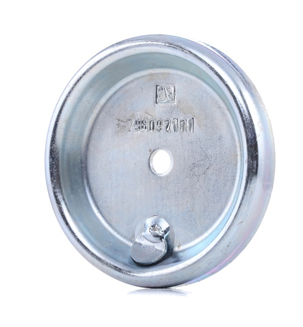 DT Spare Parts 2.62054 Äärikplaat, õhkvedru lõõts