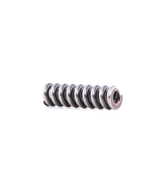 BOSCH 2 434 614 041 Octavia 5e5 Parabolic springs cost