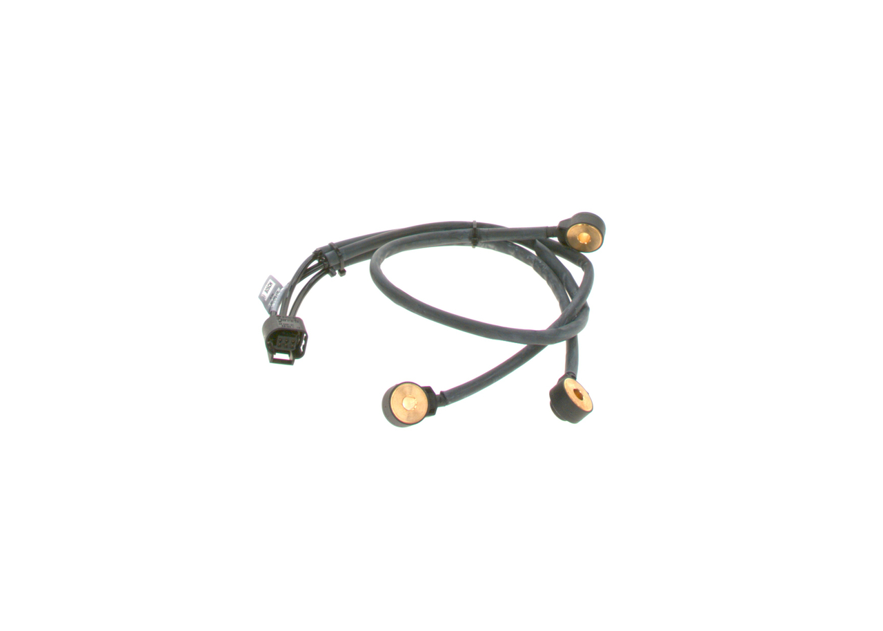 BOSCH 0 261 231 171 Klopfsensor Phantom 7 Coupe 6.75 V12 460 PS Benzin Kosten