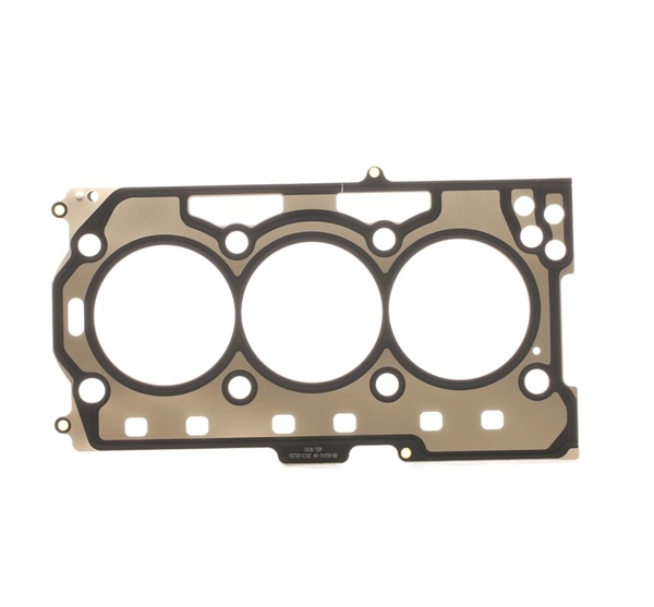 REINZ 61-36050-00 SKODA Fabia II Combi (545) 1.6 TDI 75 hp Diesel Engine gasket price