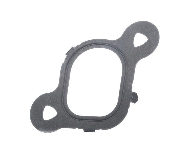 VW Multivan T5 Insugspackning REINZ 71-37538-00
