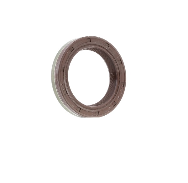 REINZ 81-37461-00 Paraolio motore Panda 3 Serie originali prezzo