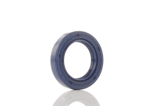 auto Retentor da árvore de cames REINZ 81-53224-00 comprar