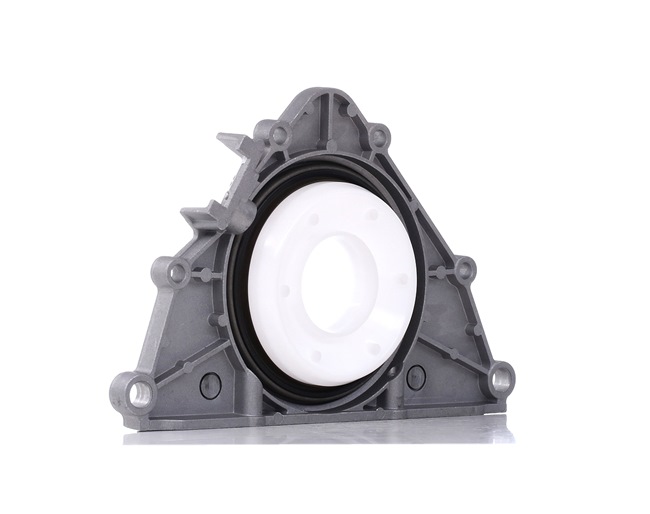 REINZ 81-90033-00 Krukaskeerring