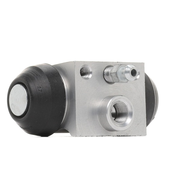Online shop: Remcilinder DELPHI LW90098