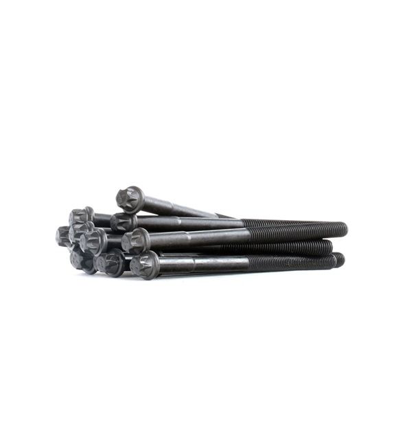 PAYEN HBS041 Bolt Kit, cylinder head