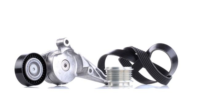 INA 529 0006 10 Soonrihmakomplekt VW Golf 1k5 1.9 TDI 105 hj Diisel hind