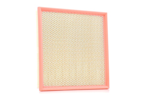 NIPPARTS N1320915 Gaisa filtrs