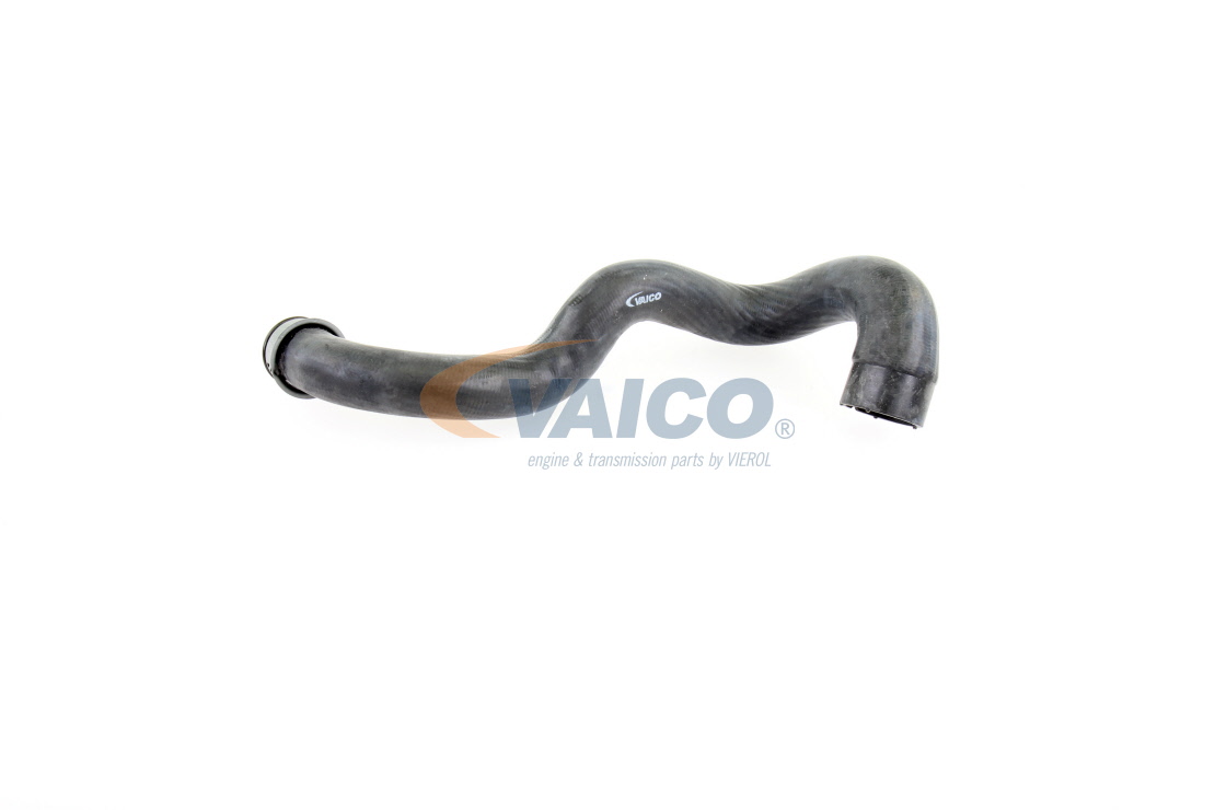 VAICO V30-1919 Tubo flexível do radiador