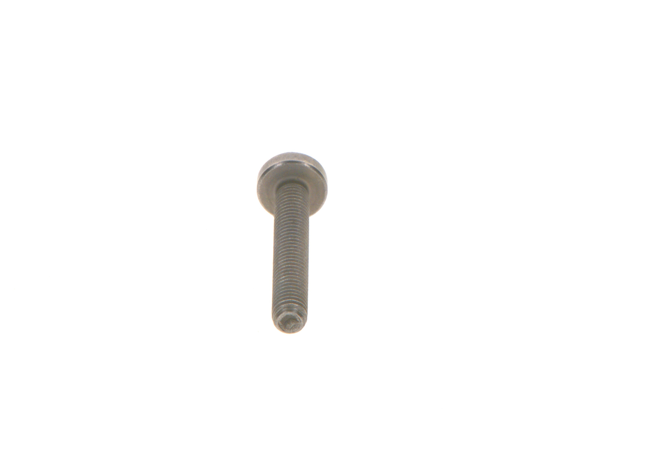 BOSCH F 00N 202 194 Kruvi