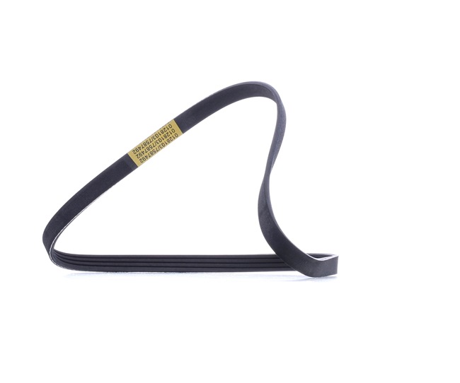 Multiriem SK-4PK884 STARK 1340640 OPEL