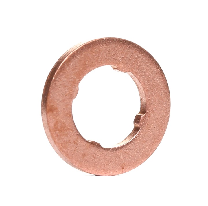 BOSCH F 00V P01 004 Gaskets-image-758937