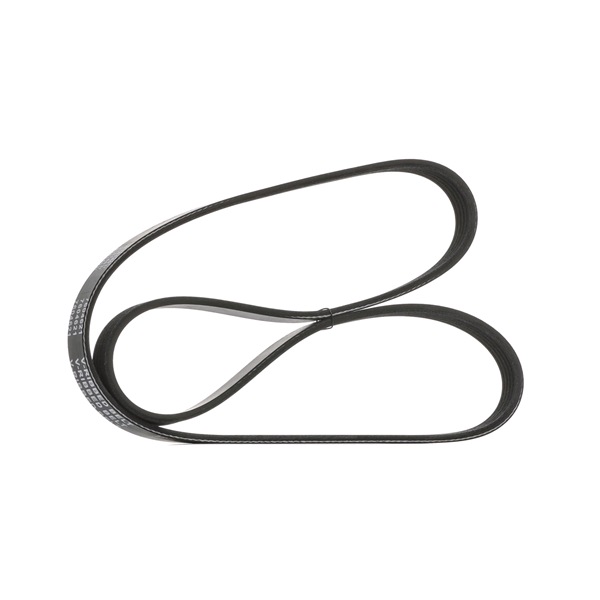 STARK SK-5PK1210 Cinghia servizi