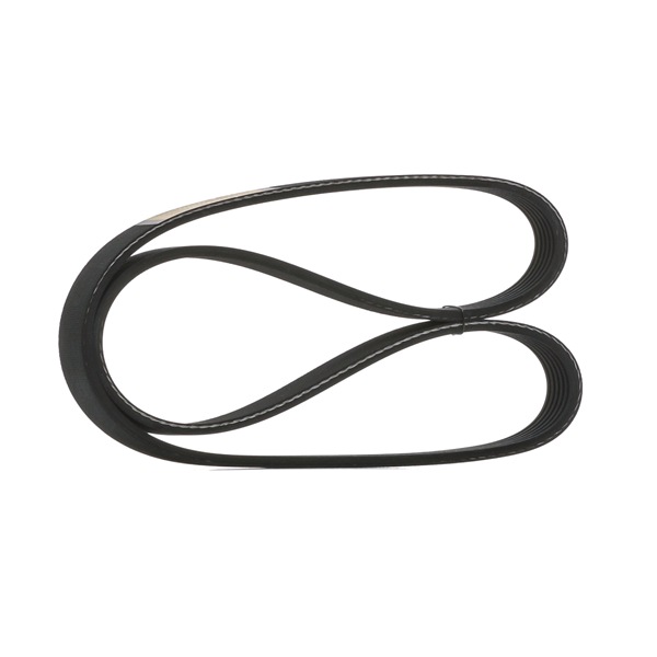 STARK SK-6PK855 Hosszbordás szíj Audi A3 8P1 1.6 102 LE Benzin árak