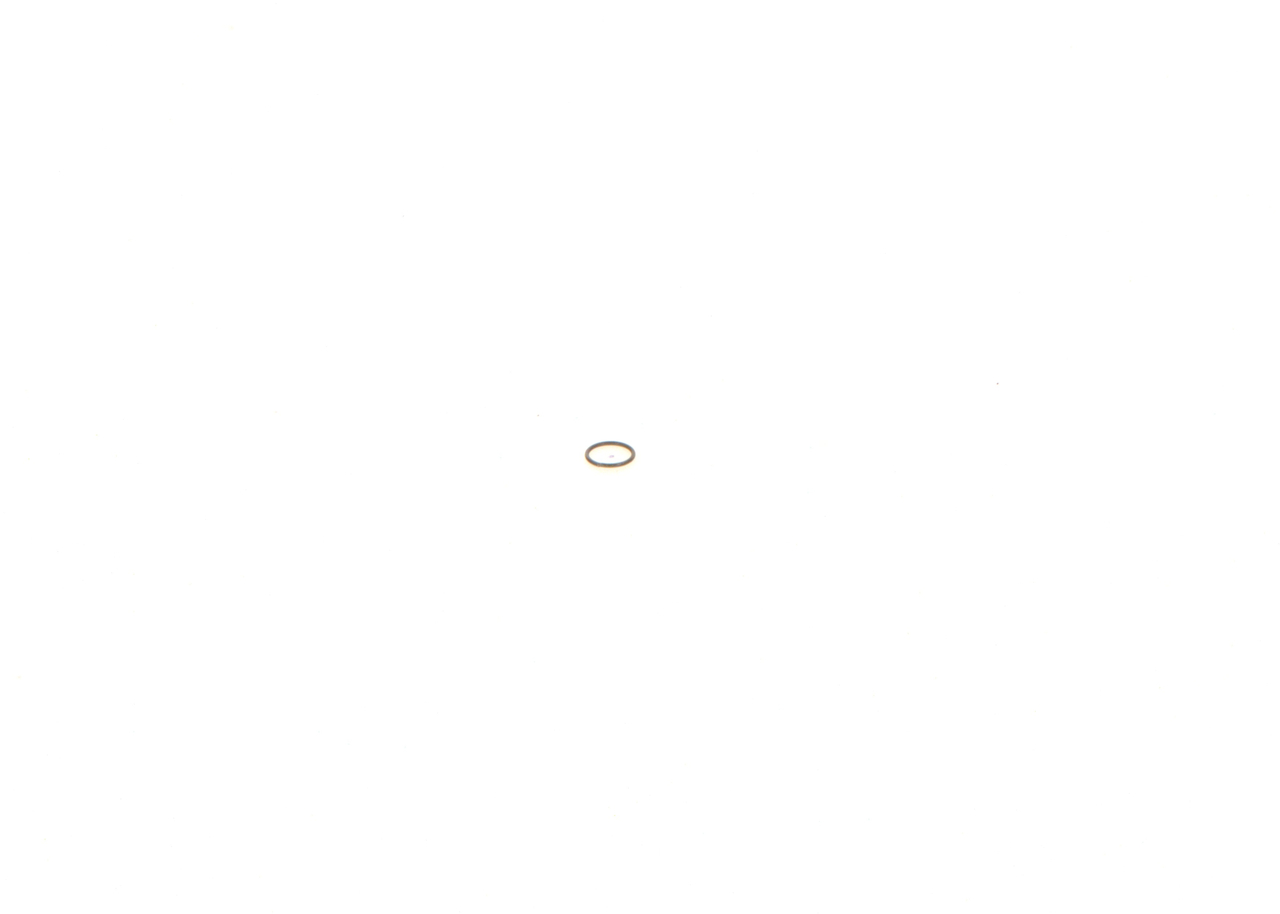 BOSCH 1 410 227 001 Seal Ring-image-7610761