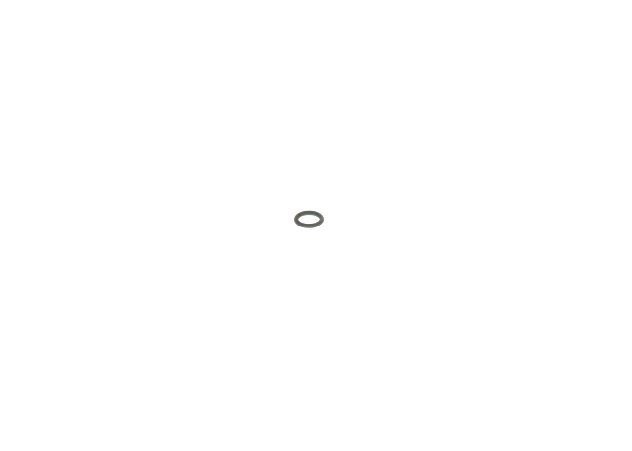 BOSCH 2 440 210 010 Seal Ring-image-7611332