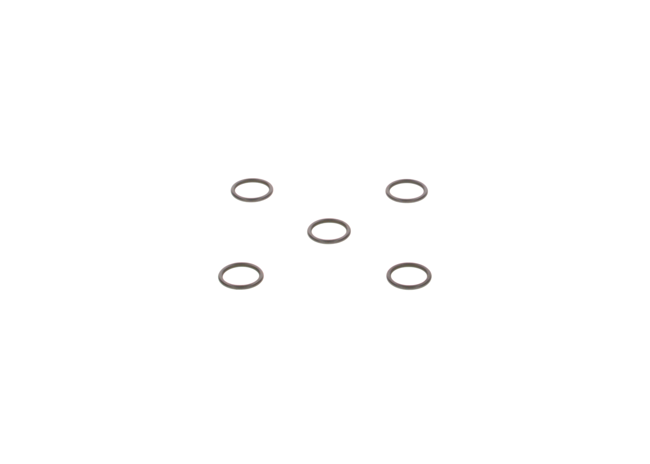 Seal Ring 2 440 210 020 BOSCH 1 745 700 VAUXHALL