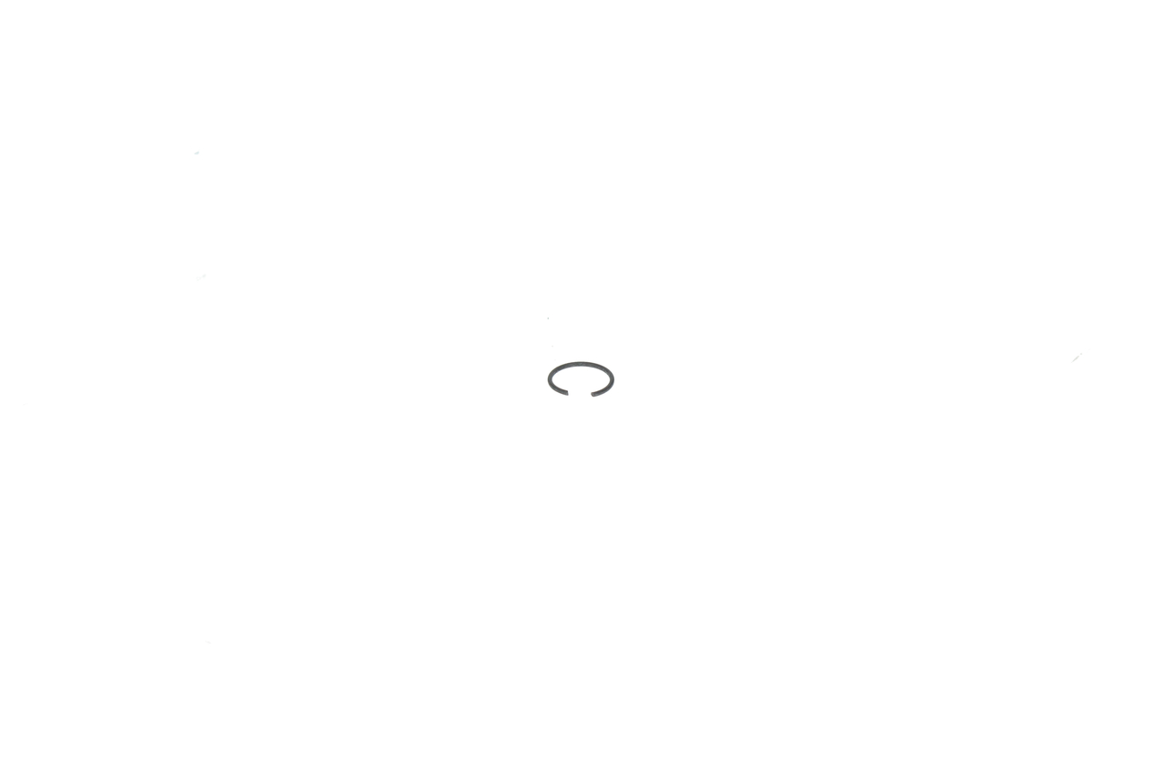 BOSCH DIN 9045 - 10 Bague d'étanchéité