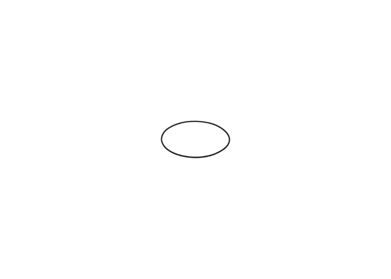 BOSCH F 00N 202 726 Bague d'étanchéité