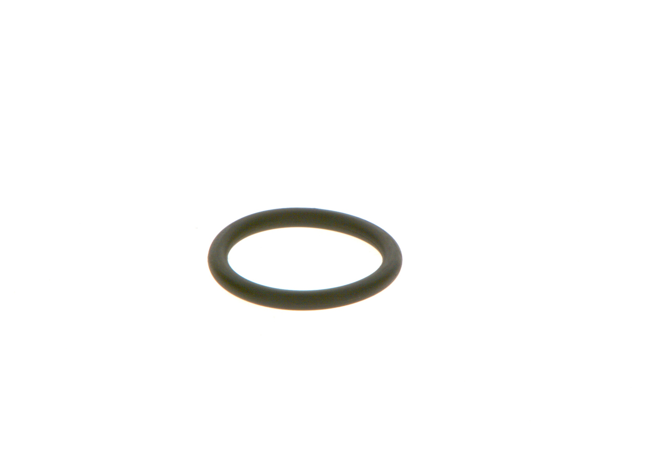 BOSCH F 00R J01 452 Seal Ring-image-7611646