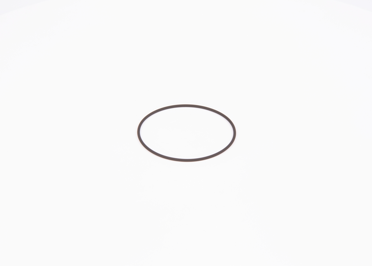 BOSCH F 01M 100 371 Seal Ring-image-7611670