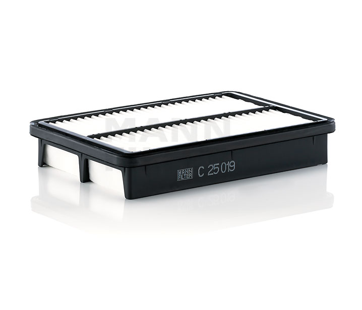 MANN-FILTER C 25 019 Luftfilter